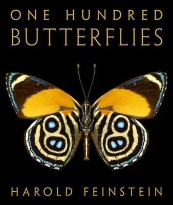 One Hundred Butterflies: The Butterfly Photographs of Harold Feinstein (Hardback)