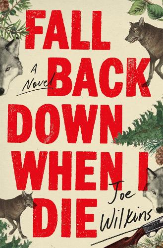 Fall Back Down When I Die (Paperback)