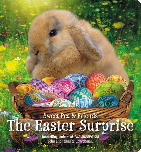 The Easter Surprise (Hardback)
