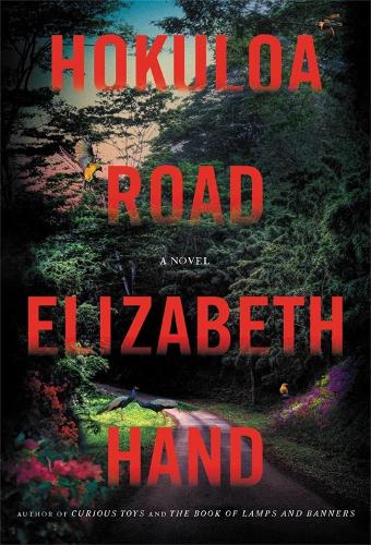 Hokuloa Road: A Novel (Hardback)