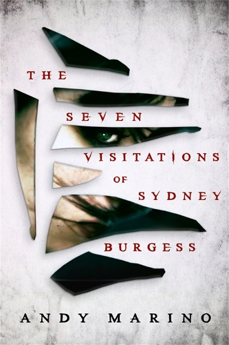 The Seven Visitations of Sydney Burgess (Hardback)