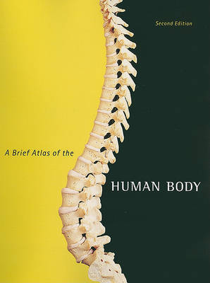 Brief Atlas of the Human Body, A (Spiral bound)