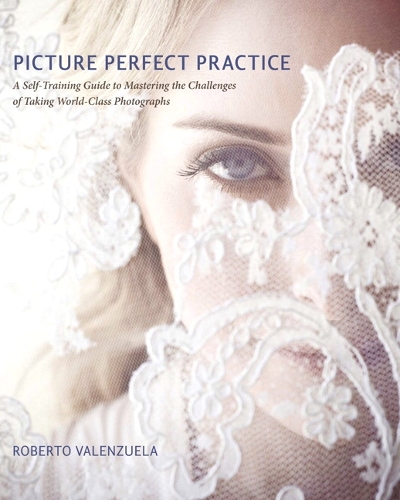 Picture Perfect Practice: A Self-Training Guide to Mastering the Challenges of Taking World-Class Photographs (Paperback)