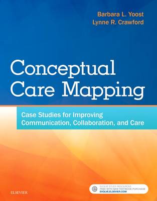 Conceptual Care Mapping: Case Studies for Improving Communication, Collaboration, and Care (Paperback)