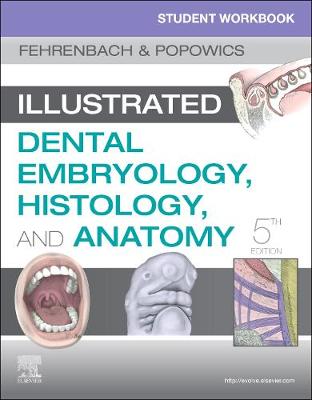 Student Workbook for Illustrated Dental Embryology, Histology and Anatomy (Paperback)