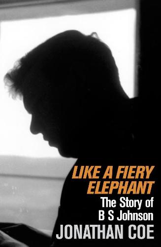 Like a Fiery Elephant: The Story of B. S. Johnson (Paperback)