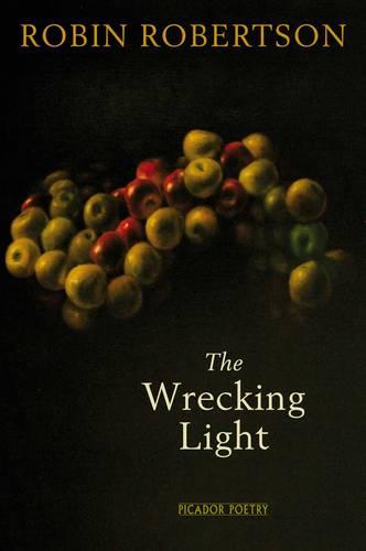 The Wrecking Light (Paperback)