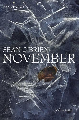 November (Paperback)