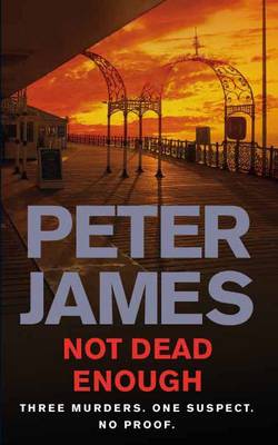 Not Dead Enough (Paperback)