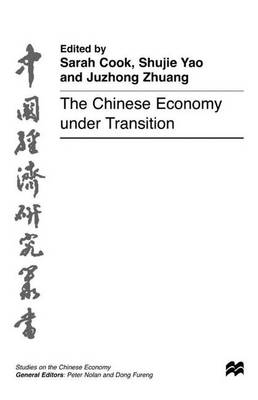 The Chinese Economy under Transition - Studies on the Chinese Economy (Hardback)
