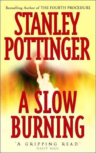 A Slow Burning (Paperback)