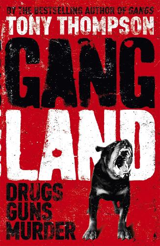 Gang Land: From footsoldiers to kingpins, the search for Mr Big (Paperback)