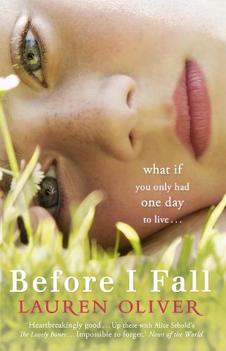 Image result for before i fall book