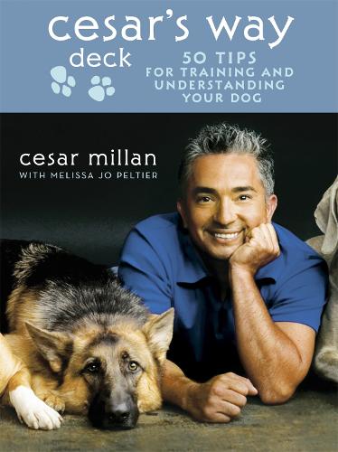 Cesar's Way Deck: 50 Tips for Training and Understanding Your Dog (Hardback)