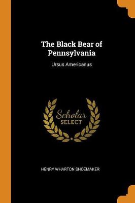 The Black Bear of Pennsylvania: Ursus Americanus (Paperback)