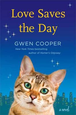 Love Saves the Day: A Novel (Hardback)