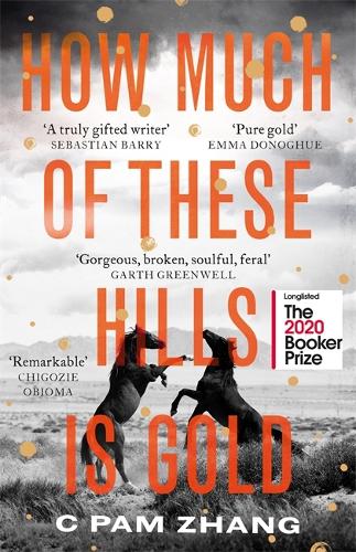 How Much of These Hills is Gold (Hardback)