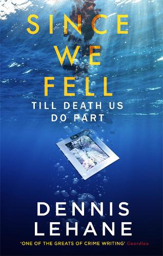 Since We Fell (Paperback)