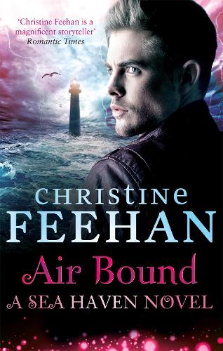 Book cover of Air Bound