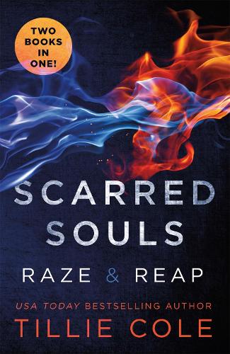 Scarred Souls (Paperback)