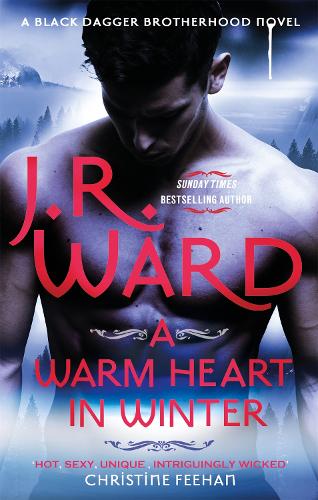 A Warm Heart in Winter (Paperback)