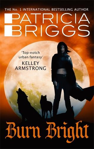 Burn Bright: An Alpha and Omega Novel: Book 5 - Alpha and Omega (Paperback)