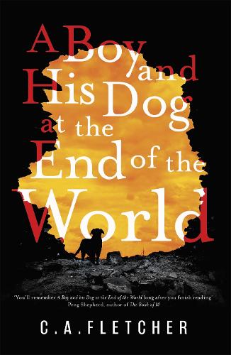 A Boy and his Dog at the End of the World (Hardback)
