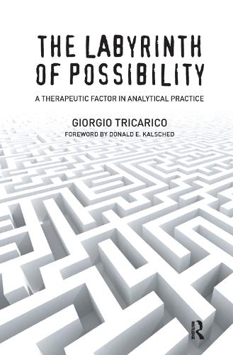 The Labyrinth of Possibility: A Therapeutic Factor in Analytical Practice (Hardback)