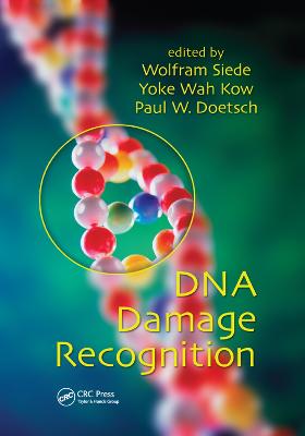 DNA Damage Recognition (Paperback)
