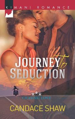 Journey To Seduction: Chasing Love (Paperback)