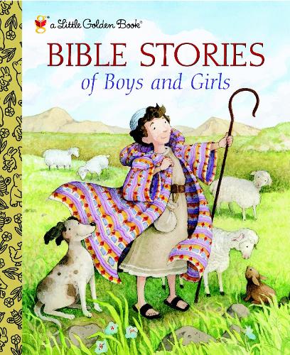 Bible Stories of Boys and Girls (Hardback)