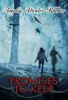 Promises To Keep (Hardback)