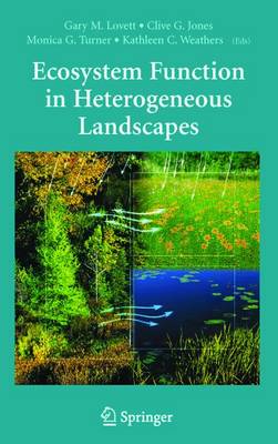 Ecosystem Function in Heterogeneous Landscapes (Hardback)