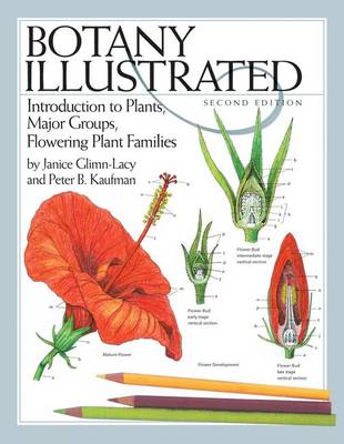 Botany Illustrated: Introduction to Plants, Major Groups, Flowering Plant Families (Paperback)