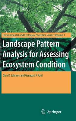 Landscape Pattern Analysis for Assessing Ecosystem Condition - Environmental and Ecological Statistics 1 (Hardback)