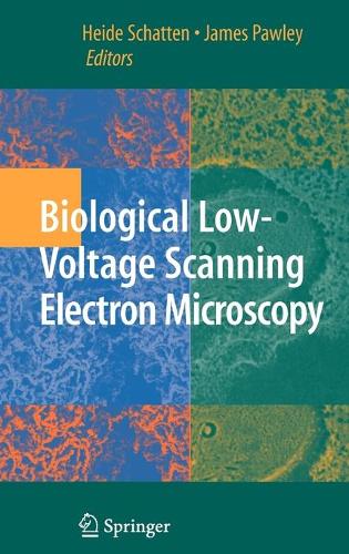Cover Biological Low-Voltage Scanning Electron Microscopy
