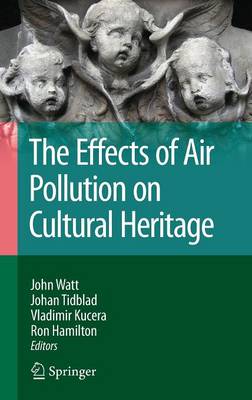 Cover The Effects of Air Pollution on Cultural Heritage