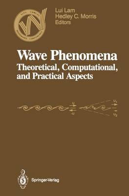 Wave Phenomena: Theoretical, Computational, and Practical Aspects : 1st Woodward Conference : Papers (Hardback)