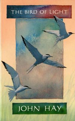 The Bird of Light (Paperback)
