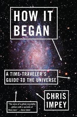 How It Began: A Time-Traveler's Guide to the Universe (Paperback)