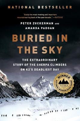 Book cover of Buried in the Sky