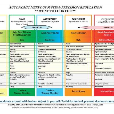 Autonomic Nervous System Table: Laminated Card by Babette Rothschild ...