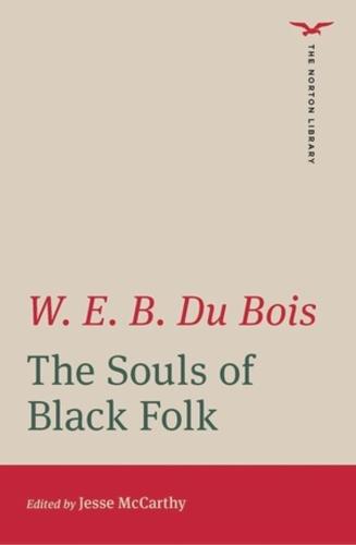 The Souls of Black Folk - The Norton Library (Paperback)