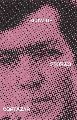 Blow-Up And Other Stories (Paperback)