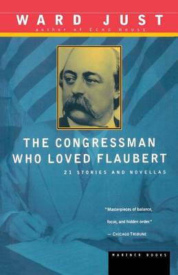 The Congressman Who Loved Flaubert: 21 Stories and Novellas (Paperback)