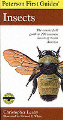 First Guide to Insects - Peterson First Guides (Paperback)