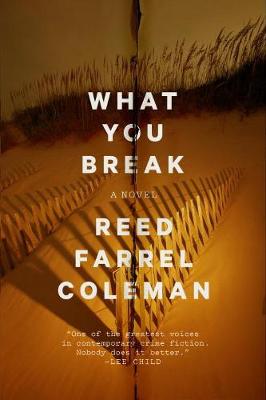 What You Break: A Novel (Hardback)