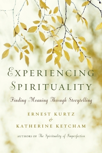 Experiencing Spirituality: Finding Meaning Through Storytelling (Paperback)