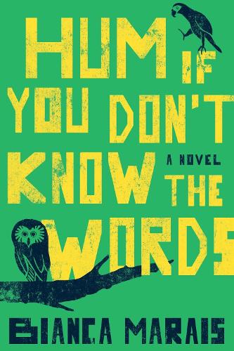 Hum If You Don't Know The Words (Paperback)