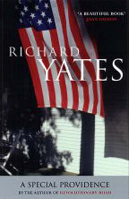 A Special Providence (Paperback)